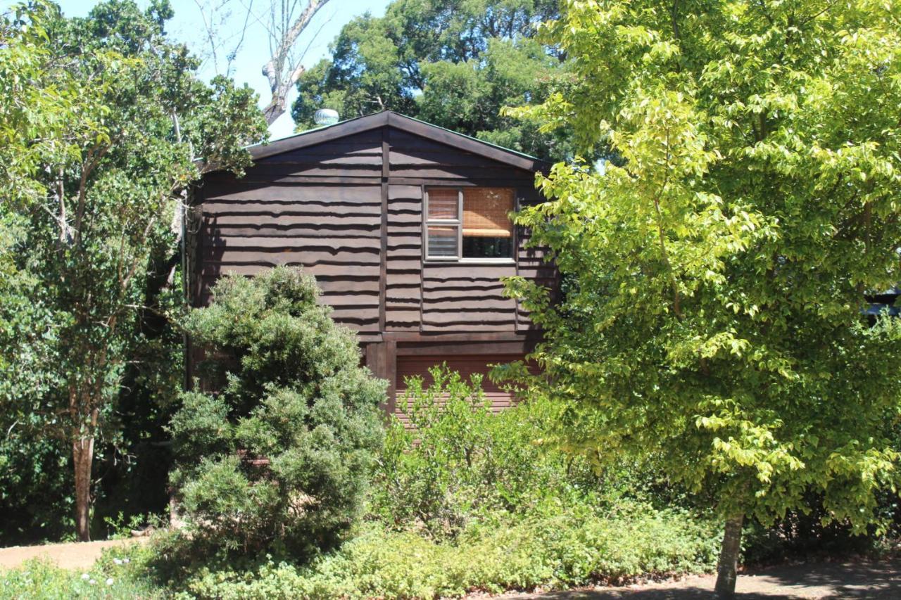 Treehouse Cottage The Crags Esterno foto